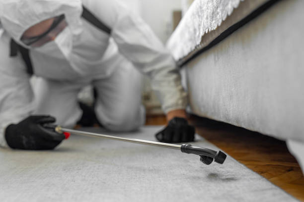 Professional Ant Control technician working in Lavon, TX